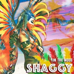 Shaggy 2023 In The Mood FLAC