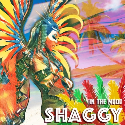 Shaggy 2023 In The Mood FLAC
