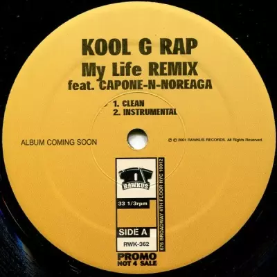 Kool G Rap 2001 My Life Remix VLS FLAC 24 96