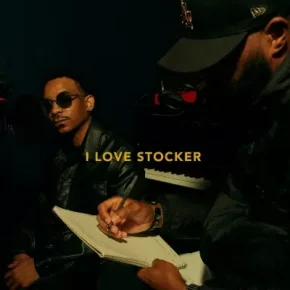 TeeFLii 2023 I Love Stocker FLAC