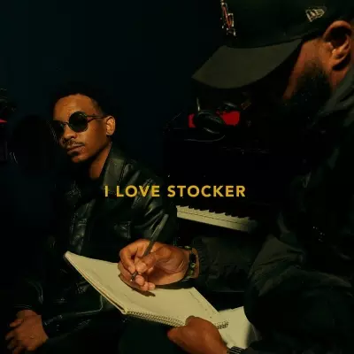 TeeFLii 2023 I Love Stocker FLAC