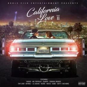 VA California Love Pt. II 2017 320