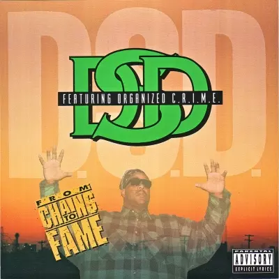 D.S.D. 1994 From Chains To Fame FLAC