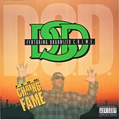 D.S.D. - From Chains To Fame (1994) [FLAC]