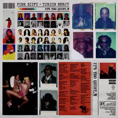 Pink Siifu Turich Benjy 2023 ITS TOO QUIET. FLAC 24 44.1