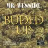 Mr. Wesside - Buded Up (2000) [FLAC]