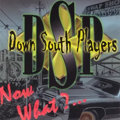 Down South Players 1998 Now What. FLAC