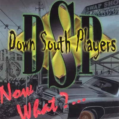 Down South Players - Now What?... (1998) [FLAC]