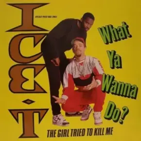 Ice-T - What Ya Wanna Do (VLS) (1990) [FLAC] [24-44.1] [16-44.1]