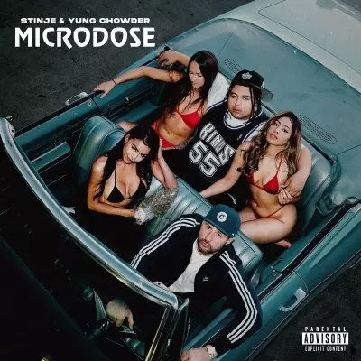 Stinje 2024 Microdose FLAC