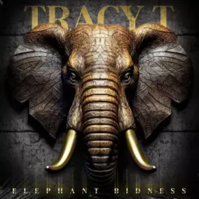 Tracy T 2024 Elephant Business FLAC