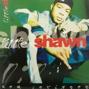 Little Shawn - Dom Perignon bw Check It Out Y'all [Vinyl] (1995) [FLAC] [24-96] [16-44]