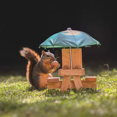 Evidence 2023 Squirrel Tape Instrumentals Vol. 3 FLAC