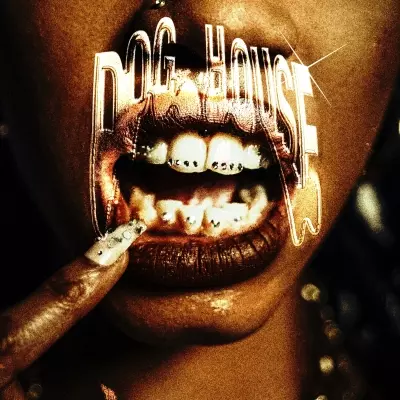 Travis 2024 DOGHOUSE FLAC 24 48