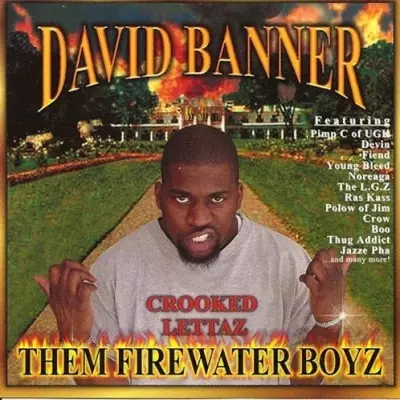 David Banner 2000 Them Firewater Boyz FLAC