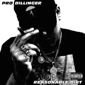 Pro Dillinger - Reasonable Dirt (2024) [FLAC]