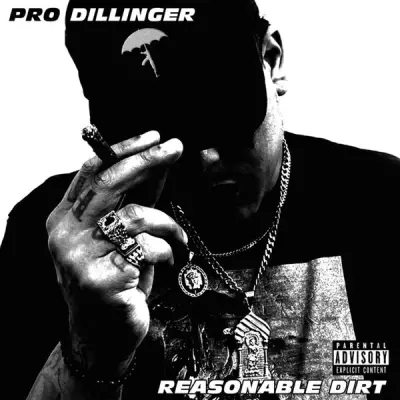 Pro Dillinger 2024 Reasonable Dirt FLAC 24 44.1