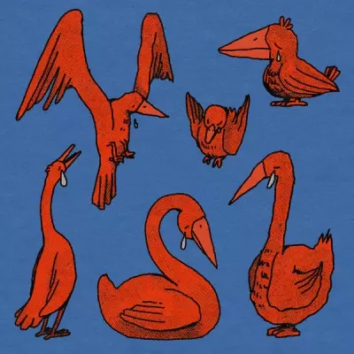 Deem Spencer 2024 all these crying birds FLAC 24 44.1