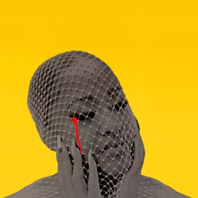 Rapsody 2024 Please Dont Cry FLAC 24 44.1
