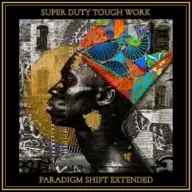 Super Duty Tough Work - Paradigm Shift (Extended Version) (2024) [FLAC] [24-44.1]