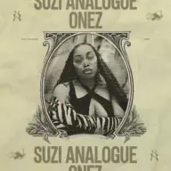 Suzi Analogue - ONEZ (2024) [FLAC] [24-44.1]
