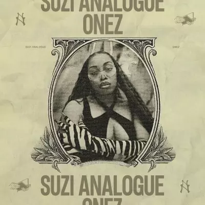 Suzi Analogue 2024 ONEZ FLAC 24 44.1