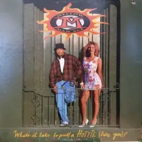 Mellow Man Ace 1992 Whats It Take to Pull a Hottie Like You FLAC Vinyl 24 96 Capitol Records Y 15789 Promo