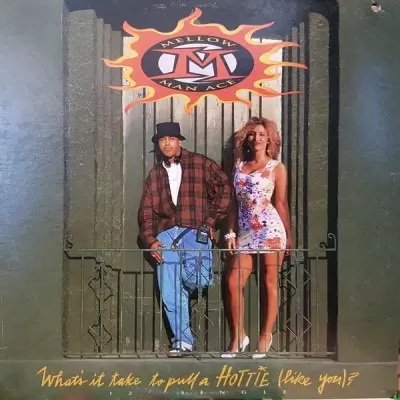 Mellow Man Ace 1992 Whats It Take to Pull a Hottie Like You FLAC Vinyl 24 96 Capitol Records Y 15789 Promo