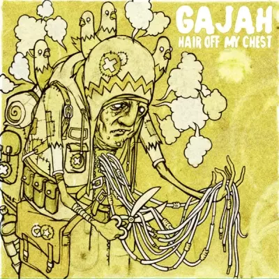 Gajah 2024 Hair Off My Chest Reissue LP Vinyl FLAC 24 96