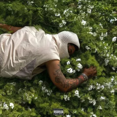 NoCap 2024 Before I Disappear Again FLAC 24 48