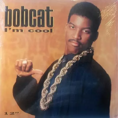 Bobcat 1989 Im Cool VLS FLAC 24 96