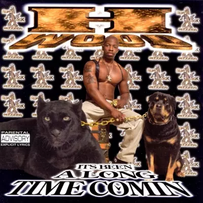 H Wood 1999 Its Been A Long Time Comin FLAC
