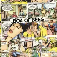 The Arch Cupcake - Box of Bees (2009) [CD] [FLAC]