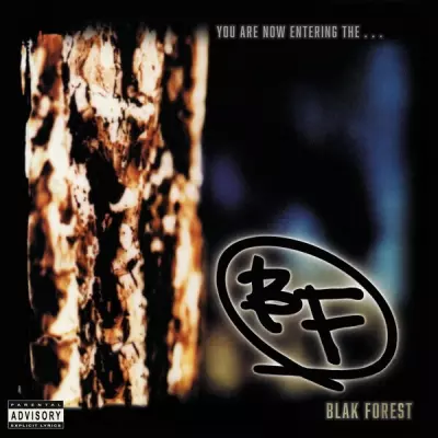 Blak Forest 1997 You Are Now Entering The . 2024 Deluxe Edition FLAC 90s Tapes
