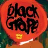 Black Grape - Orange Head (2024) [FLAC] [24-48]